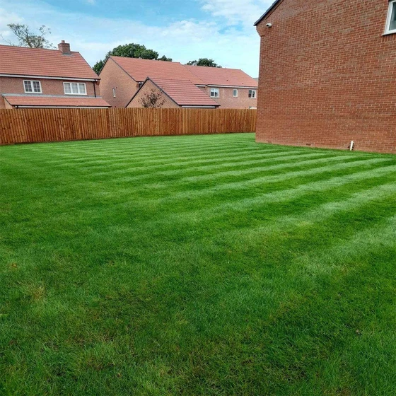 cutting-grass-service-2.webp