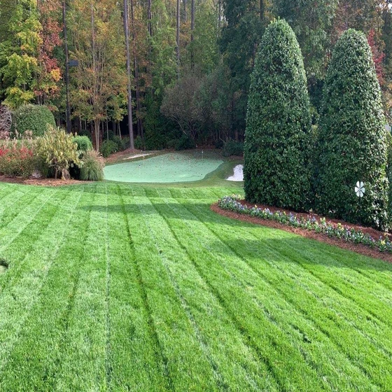 landscape-services-maintenance-1.webp