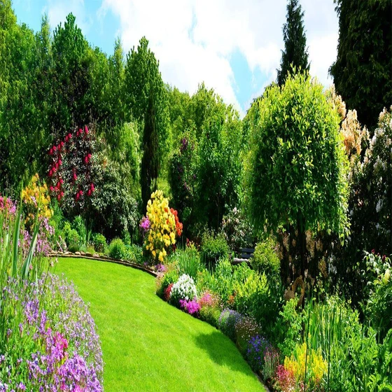 landscape-services-maintenance-2.webp