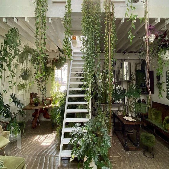 gardening-indoor-service-2.webp