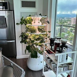 Gardening Indoor Service