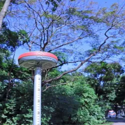 GPS Survey, Service Duration As Per Requirement