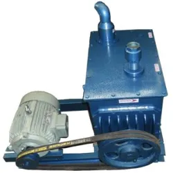 Rotary Pump Oil Seal High Vacuum, Type Belt Drive Rotary Vane Pumps
