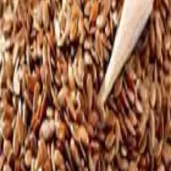 manufacturers-medicinal-herb-seeds-RYoEEjtH.webp