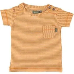 Baby Clothes, Brand bibosa