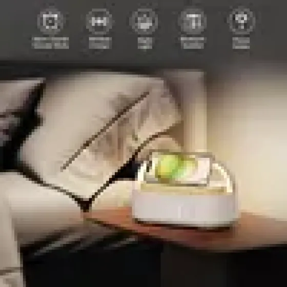 16542166-17-YcOwuDgv.webp