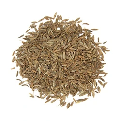 100% Organic Cumin Seeds Use Aromatic Unique Taste