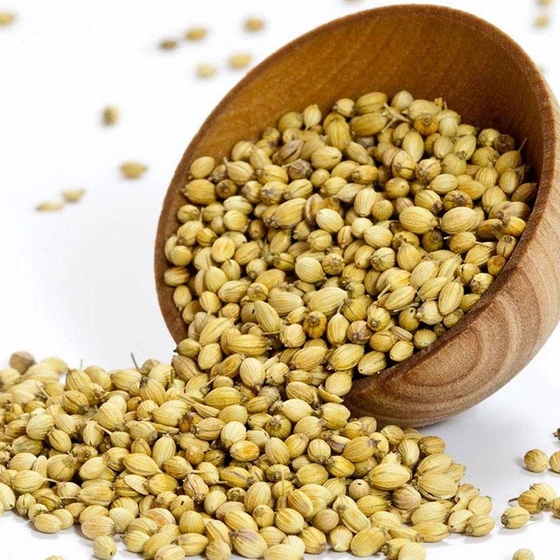 dhania-seeds.webp