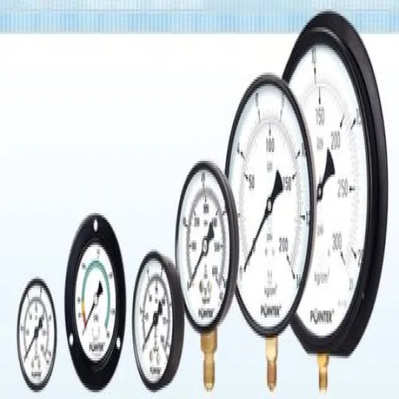 18924736-0-oe1Ngx2W.webp